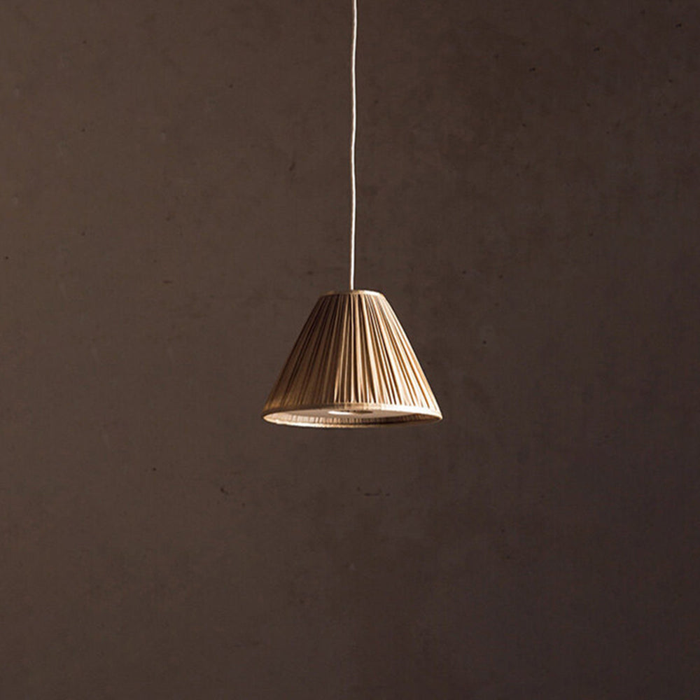 Elara Haus Conical Pleated Shade Ceiling Pendant