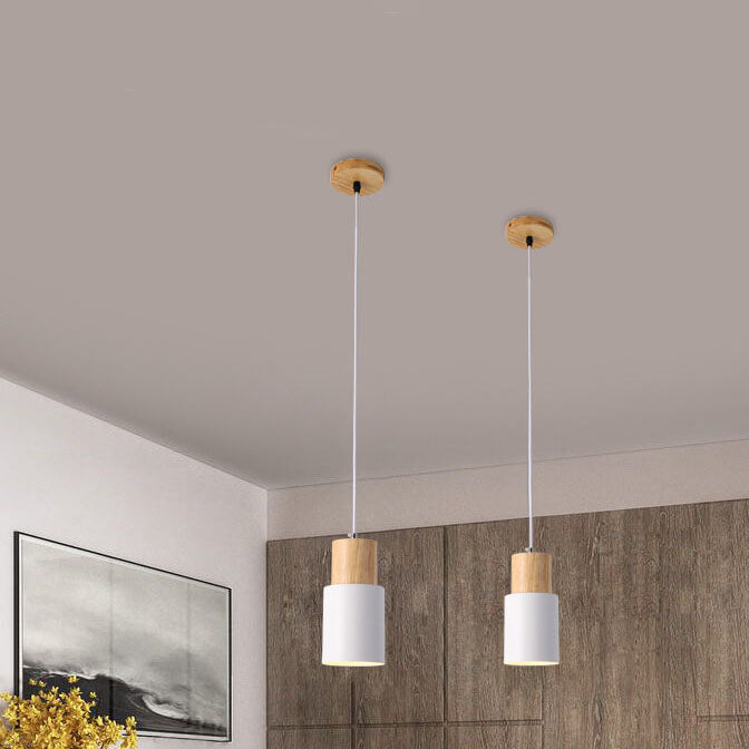 Elara Haus Downlight Ceiling Pendant Lamp