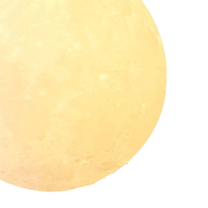 Elara Haus Resin Animal Moon Globe Pendant Light