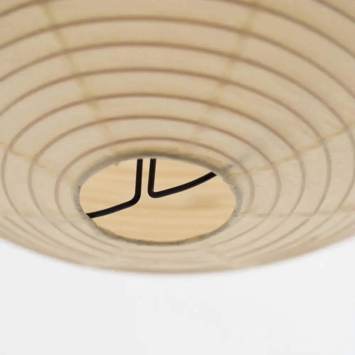 Elara Haus Ribbed Spherical Lantern Pendant Light with Wire Frame