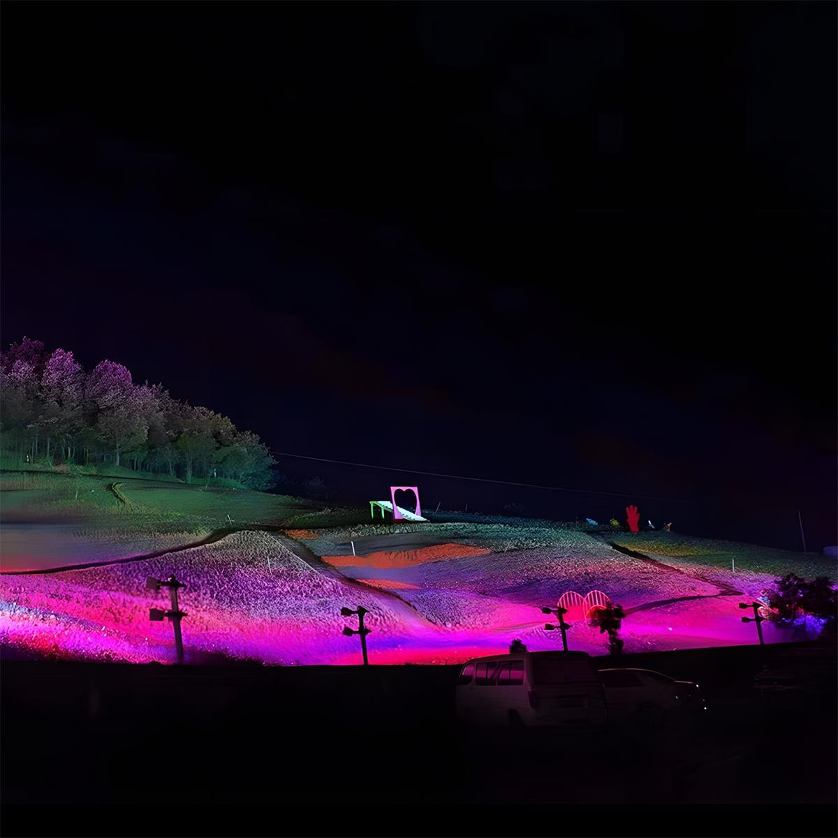 Elara Haus Outdoor RGB LED Landscape Spotlight