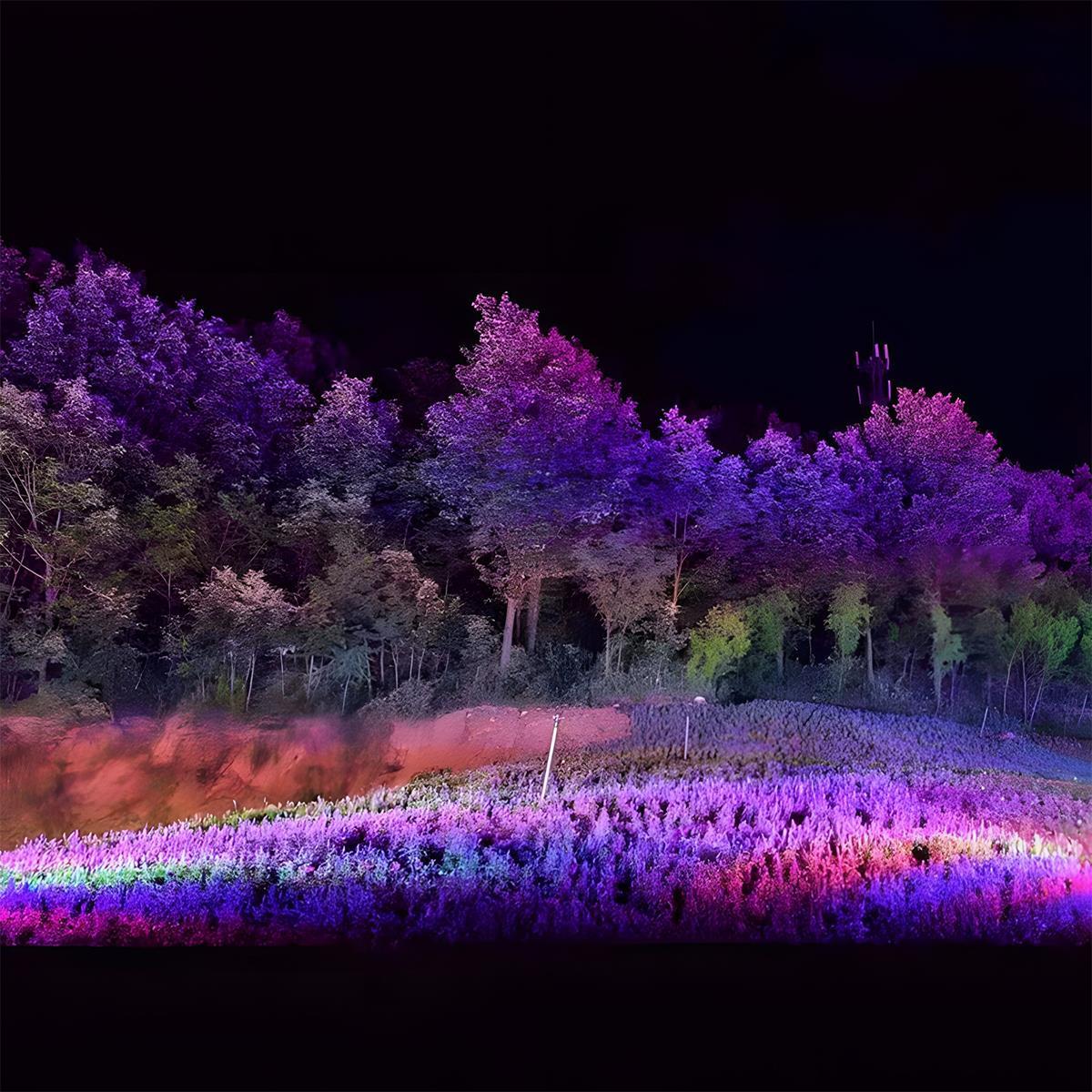 Elara Haus Outdoor RGB LED Landscape Spotlight